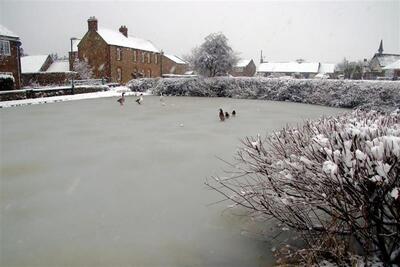 Frozen pond
