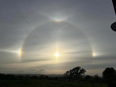 Sun Dog