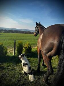 Watching the world