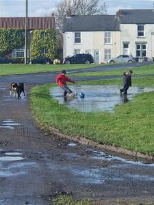 Wellies