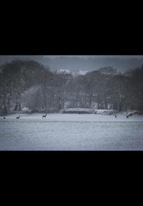 Winter 3