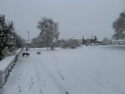 Winter 4